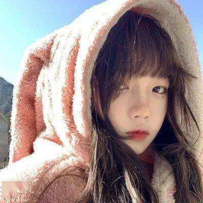 波胆app官网app下载