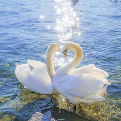 金年会手机app下载