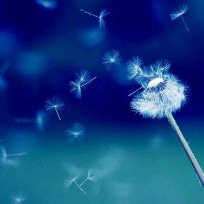 必赢亚洲下载手机版截图