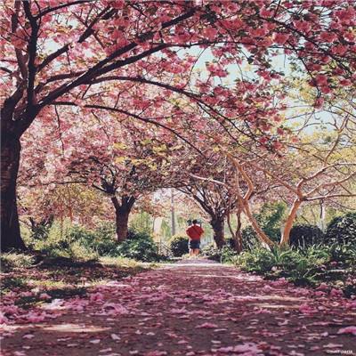 hth·华体育APP手机app下载截图