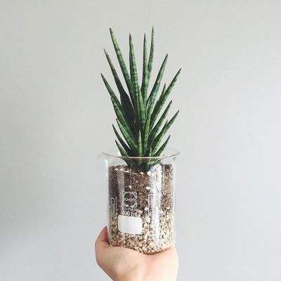 博鱼·体育下载入口