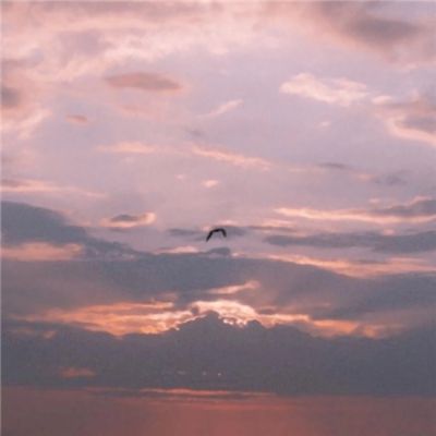 竞彩足球app官方下载手机版