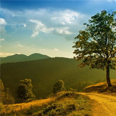 澳门太阳游戏城appapp下载